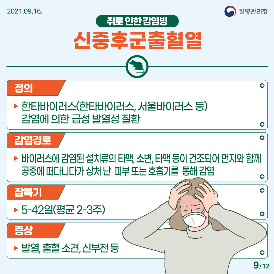 2021년 9월 16일. 질병관리청. 쥐로 인한 감염병. 신증후군출혈열. (정의) 한타바이러스(한타바이러스, 서울바이러스 등) 감염에 의한 급성 발열성 질환. (감염경로) 바이러스에 감염된 설치류의 타액, 소변, 타액 등이 건조되어 먼지와 함께 공중에 떠다니다가 상처 난 피부 또는 호흡기를 통해 감염. (잠복기) 5-42일(평균 2-3주) (증상) 발열, 출혈 소견, 신부전 등. 12페이지 중 9페이지